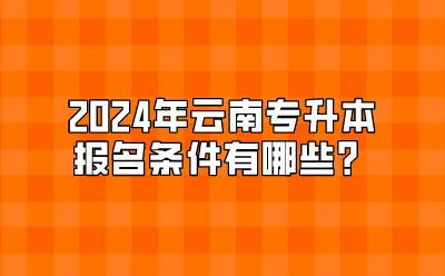 2024年云南专升本报名条件