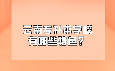 云南专升本学校