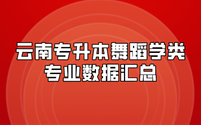 云南专升本舞蹈学类专业数据汇总