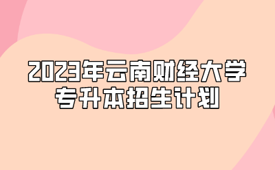 2023年云南财经大学专升本招生计划