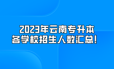 2023年云南专升本各学校招生人数汇总