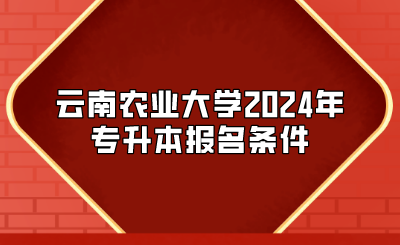 云南农业大学2024年专升本报名条件