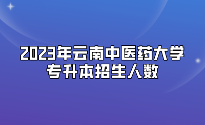 2023年云南中医药大学专升本招生人数