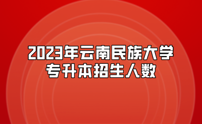 2023年云南民族大学专升本招生人数