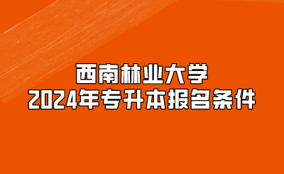 西南林业大学2024年专升本报名条件