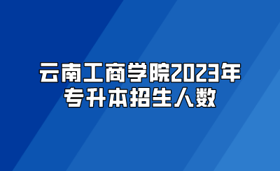 云南工商学院2023年专升本招生人数
