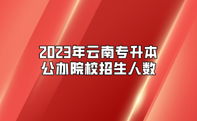 2023年云南专升本公办院校招生人数