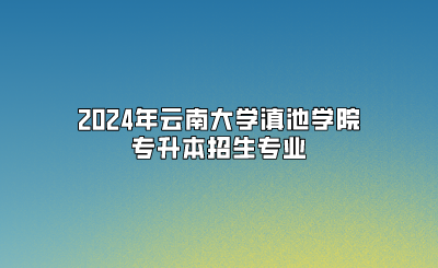 2024年云南大学滇池学院专升本招生专业