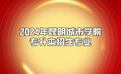 2024年昆明城市学院专升本招生专业