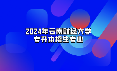 2024年云南财经大学专升本招生专业