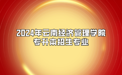 2024年云南经济管理学院专升本招生专业