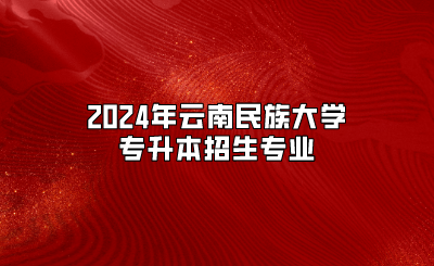 2024年云南民族大学专升本招生专业
