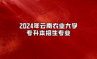 2024年云南农业大学专升本招生专业