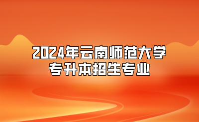 2024年云南师范大学专升本招生专业