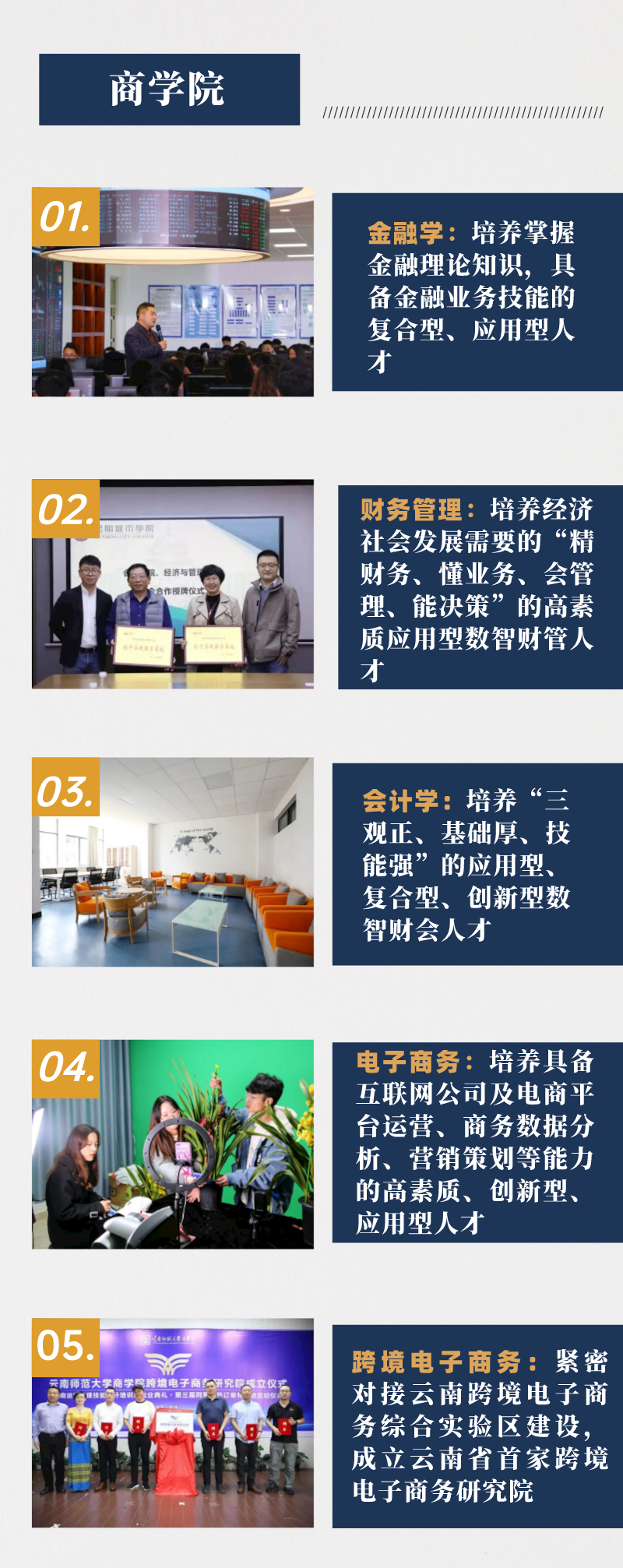 2024年昆明城市学院专升本招生简章