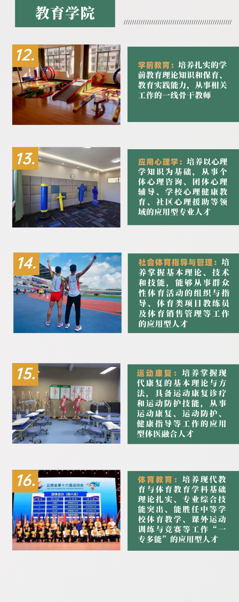 2024年昆明城市学院专升本招生简章