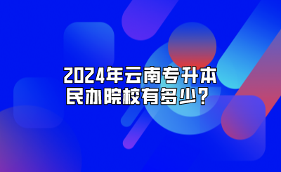 2024年云南专升本民办院校