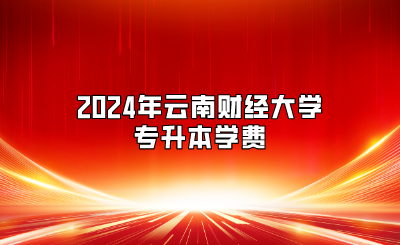 2024年云南财经大学专升本学费