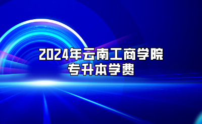 2024年云南工商学院专升本学费