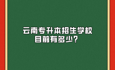 云南专升本招生学校目前有多少？