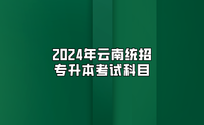 2024年云南统招专升本考试科目