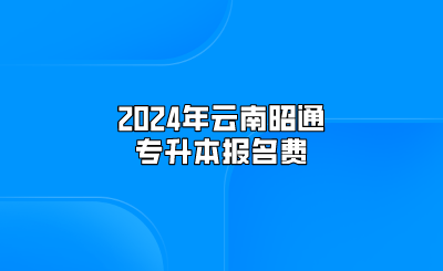 2024年云南昭通专升本报名费