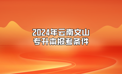 2024年云南文山专升本报考条件