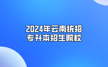 2024年云南统招专升本招生院校