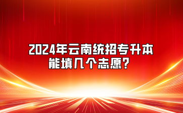 2024年云南统招专升本能填几个志愿?